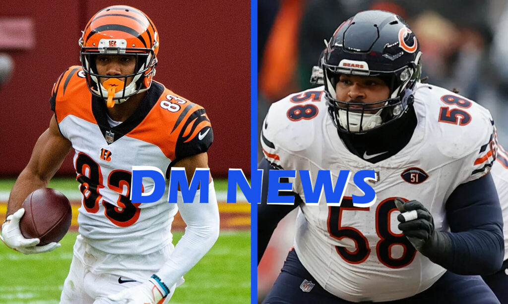 bengals vs chicago bears match player stats