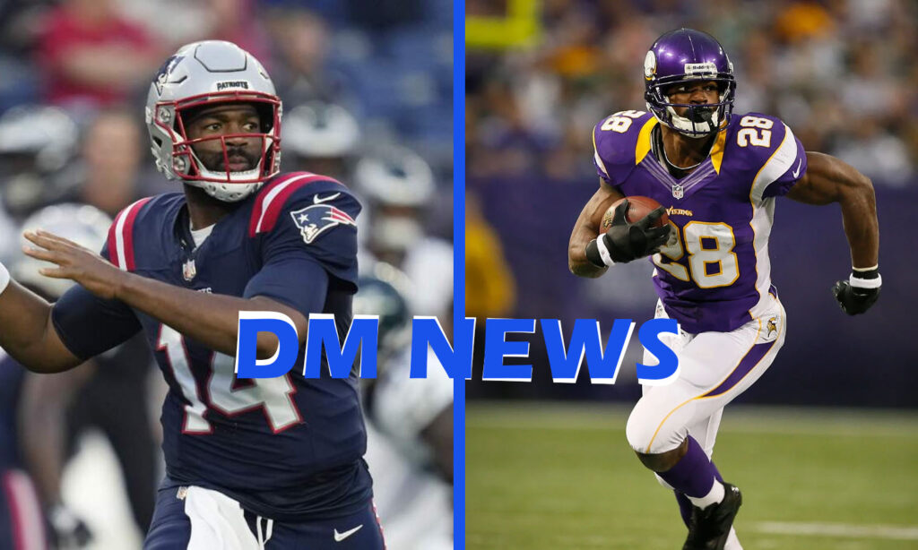 new england patriots vs minnesota vikings match player stats