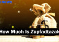 How Much Is Zupfadtazak