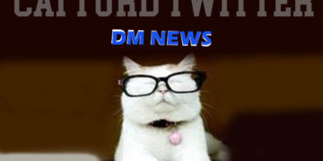 Catturd Twitter