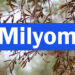 Milyom