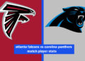 atlanta falcons vs carolina panthers match player stats