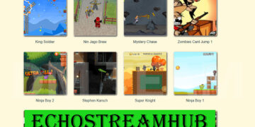 EchoStreamHub