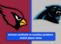 arizona cardinals vs carolina panthers match player stats