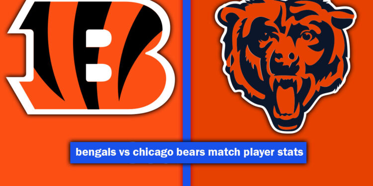 bengals vs chicago bears match player stats