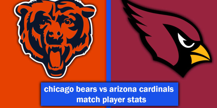 chicago bears vs arizona cardinals match player stats
