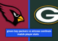 green bay packers vs arizona cardinals match player stats