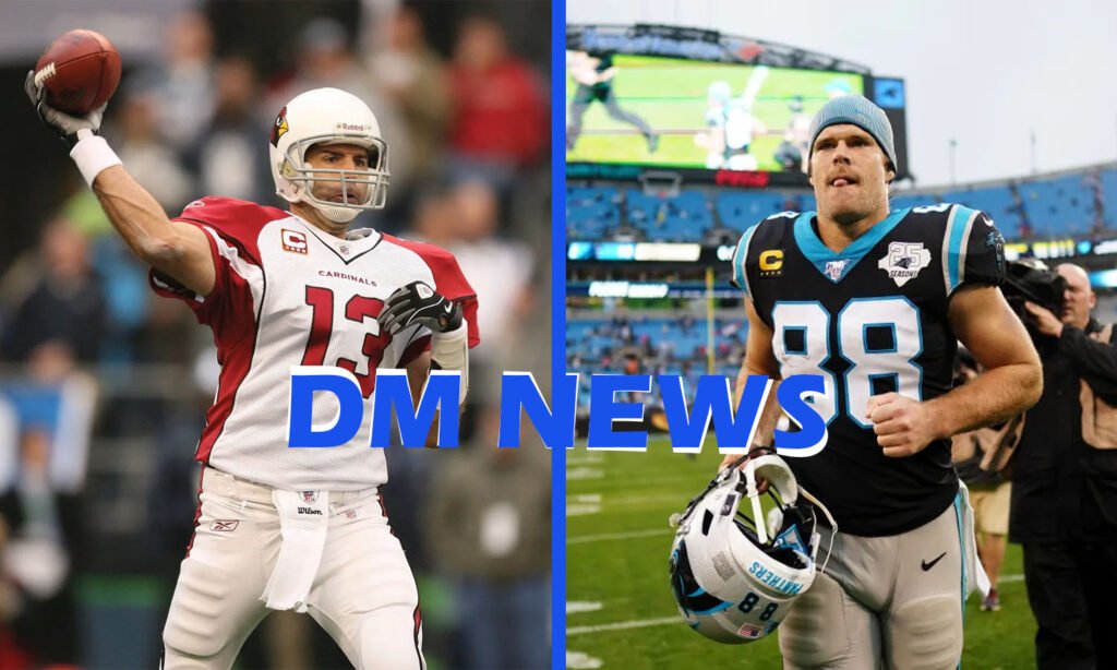 arizona cardinals vs carolina panthers match player stats