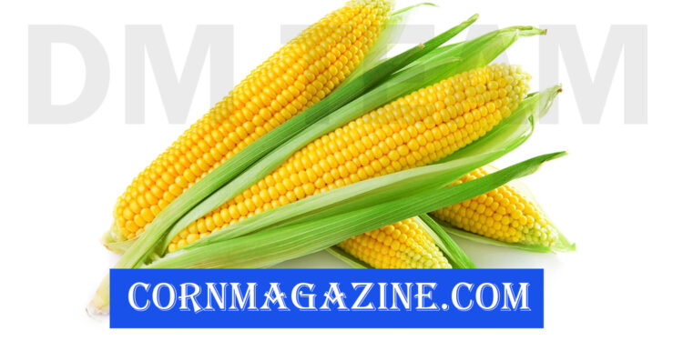 CornMagazine.com
