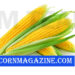 CornMagazine.com