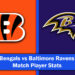 Bengals vs Baltimore Ravens Match Player Stats