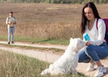 Top Career Paths for People Who Love Animals