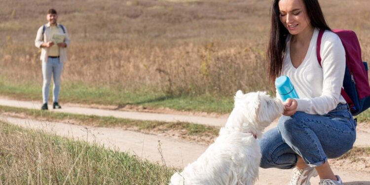 Top Career Paths for People Who Love Animals