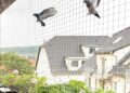 Protect Your Home with the Best Balcony Pigeon Netting