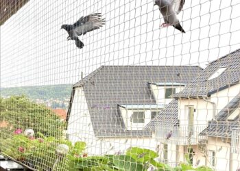 Protect Your Home with the Best Balcony Pigeon Netting