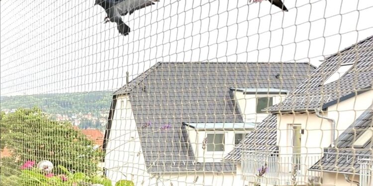 Protect Your Home with the Best Balcony Pigeon Netting