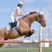 Understanding the Different Types of Show Jumping Jumps