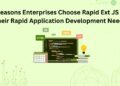 5 Reasons Enterprises Choose Rapid Ext JS for Their Rapid Application Development Needs