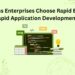 5 Reasons Enterprises Choose Rapid Ext JS for Their Rapid Application Development Needs