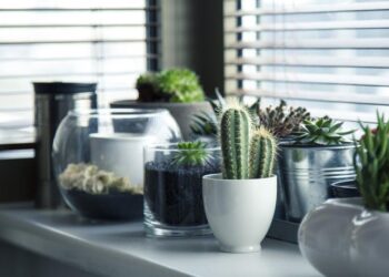 Realistic Plants, Stunning Decor: Elevate Your Home Aesthetics
