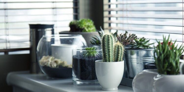 Realistic Plants, Stunning Decor: Elevate Your Home Aesthetics
