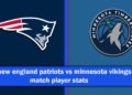 new england patriots vs minnesota vikings match player stats