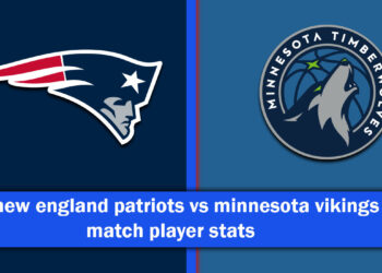 new england patriots vs minnesota vikings match player stats