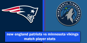 new england patriots vs minnesota vikings match player stats
