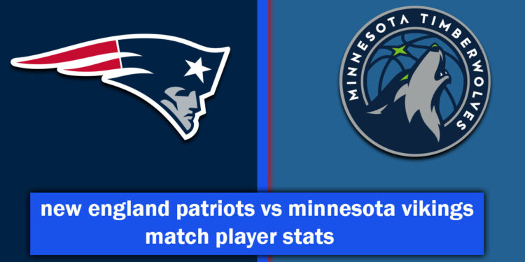 new england patriots vs minnesota vikings match player stats